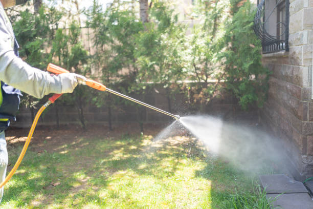 Spider Control Near Me in North Vacherie, LA