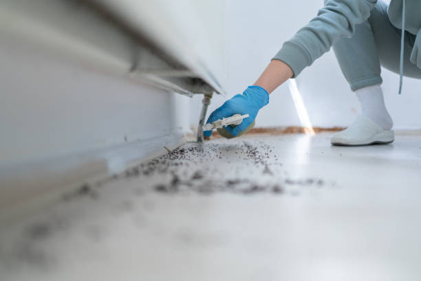 Pest Prevention Services in North Vacherie, LA